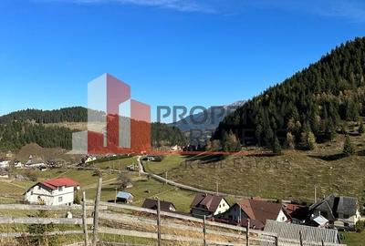 Teren Fundatica intravilan 4500 mp - 17