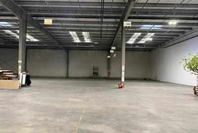 Spațiu comercial, de 6,500 mp, în Bolintin-Deal - 2