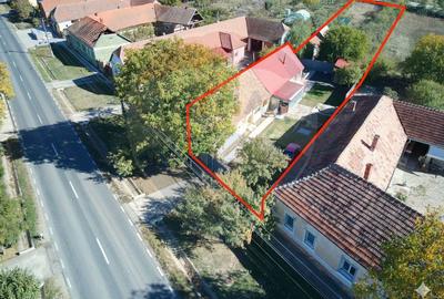 Casă cu 2 camere cu Teren 2261 Mp în Pișchia - 8