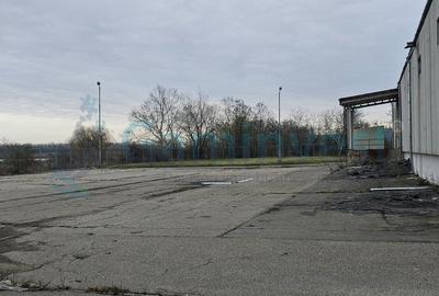 Spațiu industrial, de 609 mp, în Borș - 8