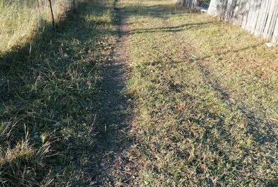 Teren de 3200 mp, în Sadova - 13