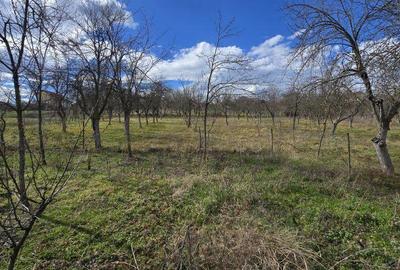 Casă cu 3 camere cu Teren 2876 Mp în Central - 10