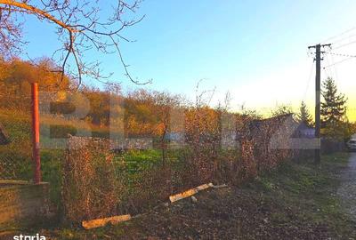 Teren de 3484 mp, în Răzvad - 4