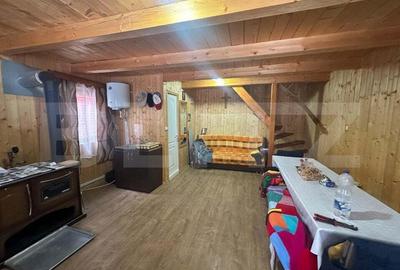 Casa de vacan?a in Valea Inzelului TRANSAPUSEANA, 459 mp totali. - 12