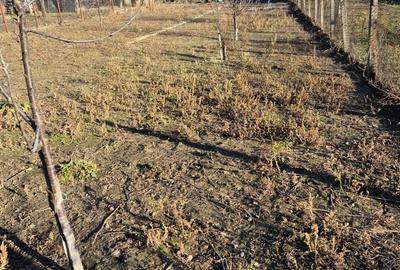 Casă cu 3 camere în Oșorhei - 1