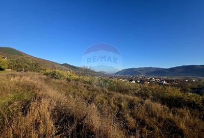 Teren 6,874mp Alexandru cel Bun / Strada plopusor - 2