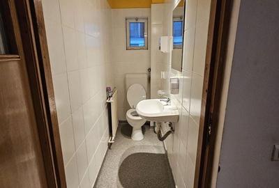 Casă individuală cu 7 camere cu Garaj în 1 Mai - 17