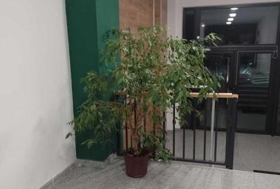 Apartament cu 2 camere, mobilat în Cetate - 7