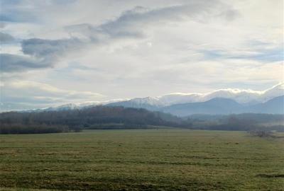 Teren de vanzare la iesire din Racovita - 3