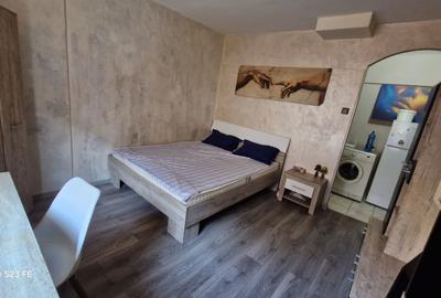 Garsonieră decomandată în Tudor Vladimirescu - 3