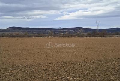 Teren de 5000 mp, în Avrig