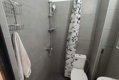 Garsonieră în Vasile Aaron - 1