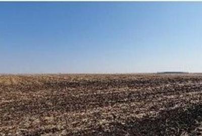 Teren extravilan Putineiu, ID: R2718957 - 6