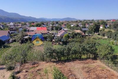 Casa de Vanzare – Dumbrava Rosie - 3