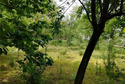 Casă cu 3 camere în Glodeanu-Siliștea - 1