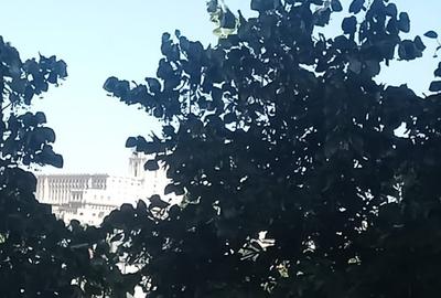 Apartament decomandat în Tineretului - 4