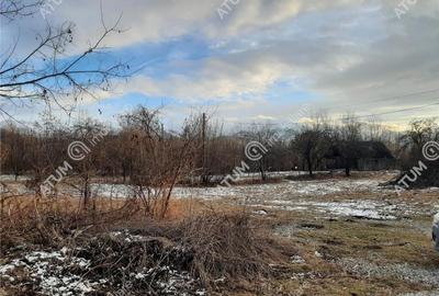 Teren intravilan 1000 mp de pe Valea Avrigului - 2