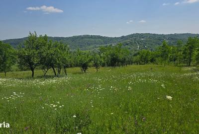 Spațiu comercial, în Bărzila - 4