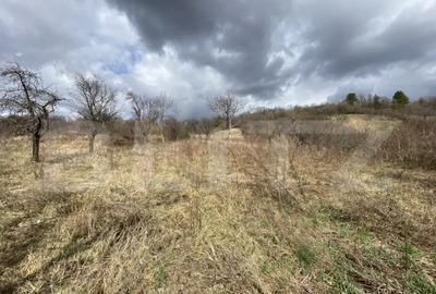 Teren de 2000 mp, în Central - 5