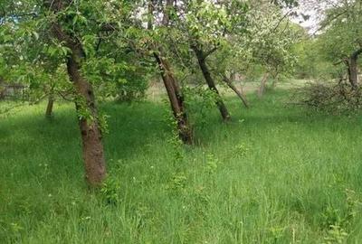 Casă cu 4 camere cu Teren 100 Mp în Pietroșani - 2