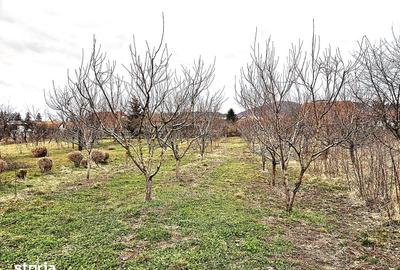 Casă cu 5 camere cu Canalizare în Sânpetru - 9