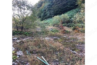 De vanzare teren intravilan AZUGA - 8