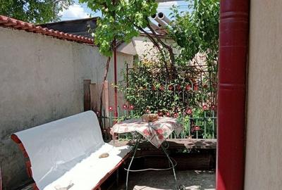 Casă cu 4 camere în Radu Negru - 6