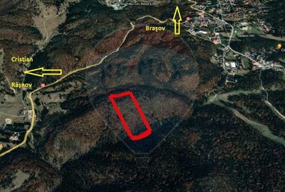 Teren intravilan, 56000 mp, Poiana Brasov - 2