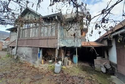 Casa traditionala cu anexe si gradina,Zona Nasaud - 17