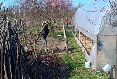 Casa de vanzare Dumitresti, Olt - 5