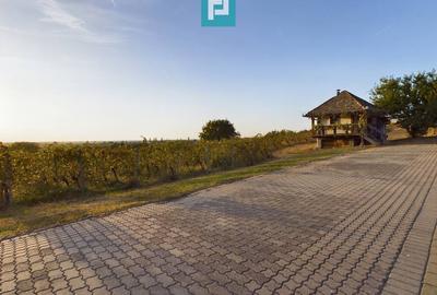 Casă individuală cu 6 camere cu Canalizare în Miniș - 16