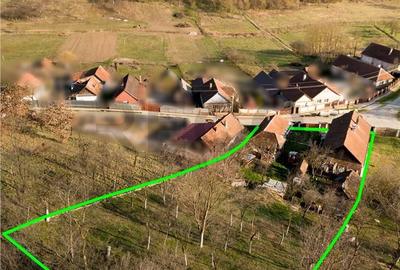 Casă cu 3 camere în Uileacu de Criș - 5