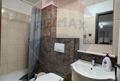 Apartament cu 2 camere în Banu Mărăcine - 14