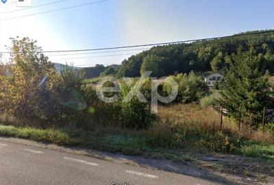 Teren Construcții intravilan de 7797 mp, în Podiș - 2