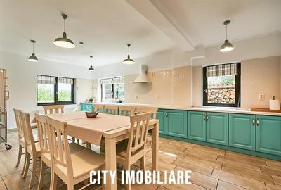 Casa de vacanta in Toplita, langa partia de schi, ideala pentru relaxare si inve - 16