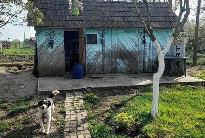 Casă cu 2 camere cu Teren 2870 Mp în Central - 5