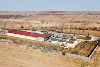 Crama din Buciumeni Afacere la cheie - 8