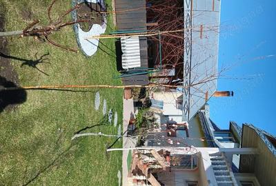 Casă cu 6 camere cu Teren 937 Mp în Mogoșești - 7