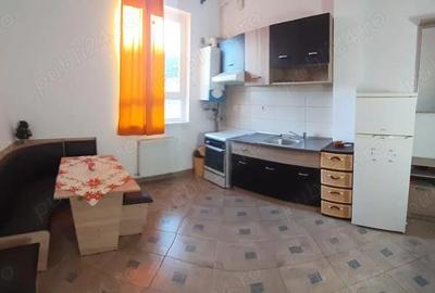 Apartament cu 2 camere decomandat în Turnișor - 1