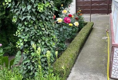 🏡 Casă solidă, spațioasă și versatilă în zona centrală, Sânnicolau Mare - 11