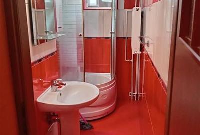 Apartament cu 2 camere nedecomandat, mobilat în Mihai Bravu - 11