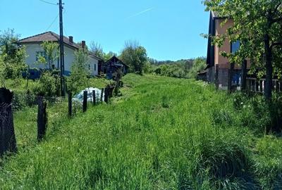 Teren de 1000 mp, în Păușești - 5