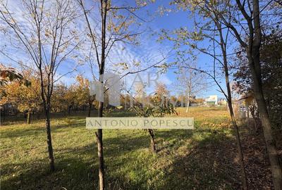 Teren intravilan, in Paulesti, Prahova - 14