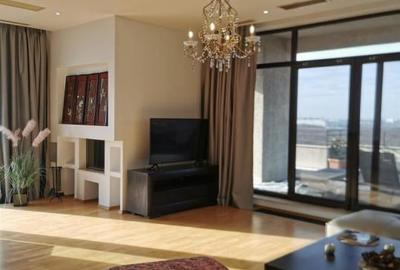 Baneasa Penthouse lux Amb. SUA View 360, supr. 650mp - 13