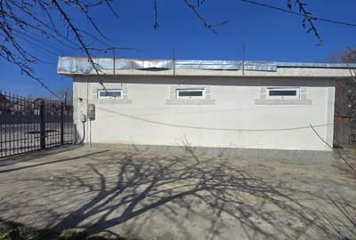 Spațiu comercial, de 70 mp, în Argeșelu - 5