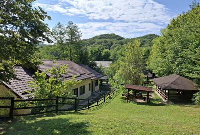 Casă cu 6 camere cu Teren 2267 Mp în Iedera de Sus - 6