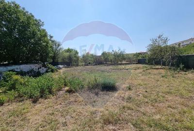 Teren intravilan 1200 mp +cabana lemn-zona rezidentiala-D... - 11