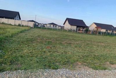 Teren de 750 mp, în Sântandrei - 2