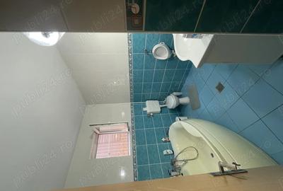 De vanzare casa P+1+M, zona Carrefour Colentina - 7