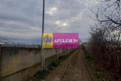 Teren Construcții intravilan de 1055 mp, în Berceni - 8